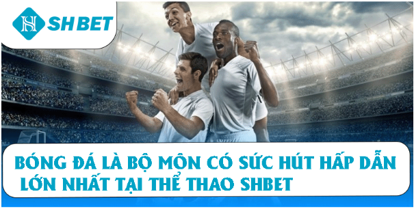 Thể thao SHBET