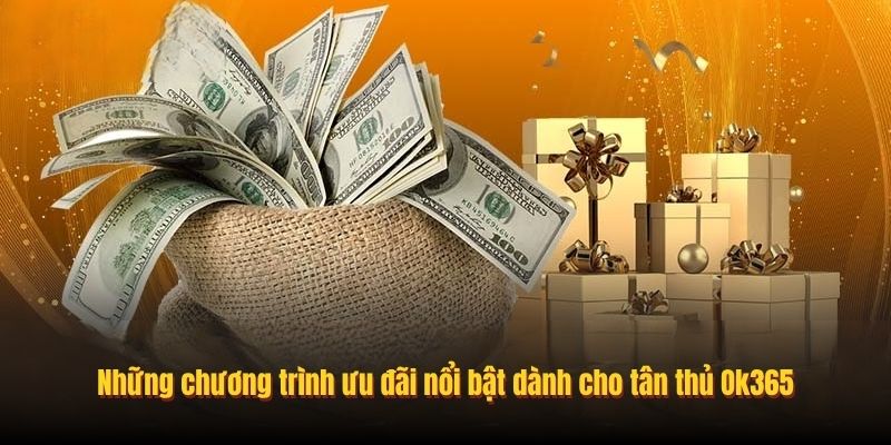 Những chương trình ưu đãi nổi bật dành cho tân thủ Ok365